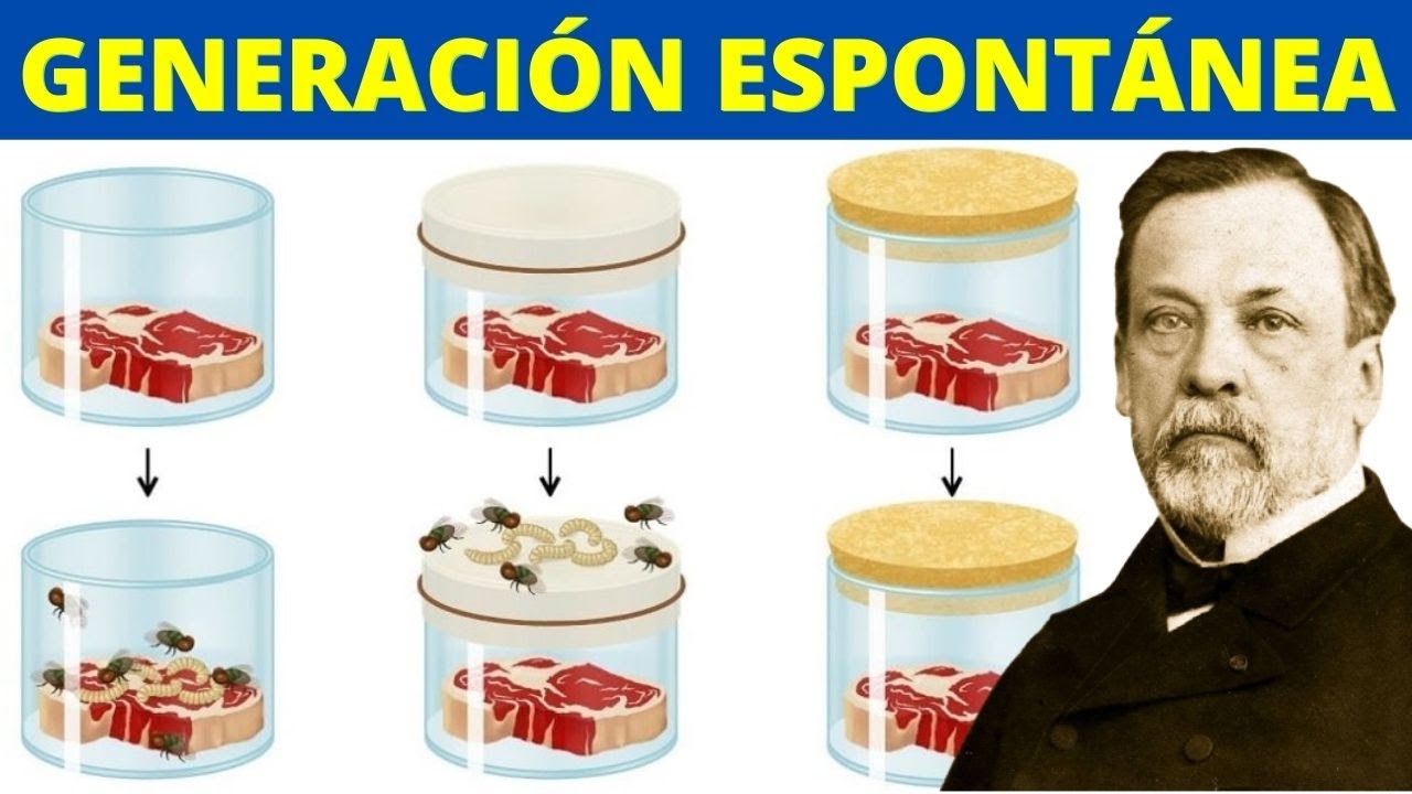 francesco redi teoria de la generacion espontanea