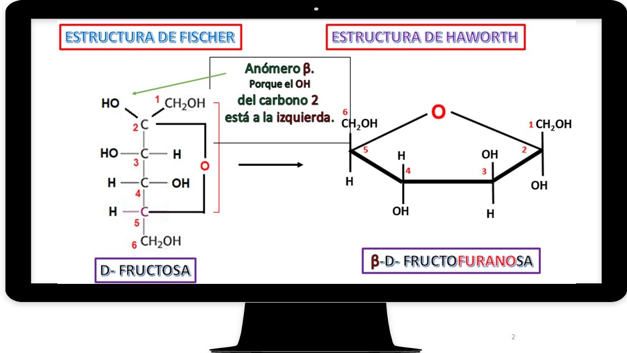 importancia biologica de la fructosa