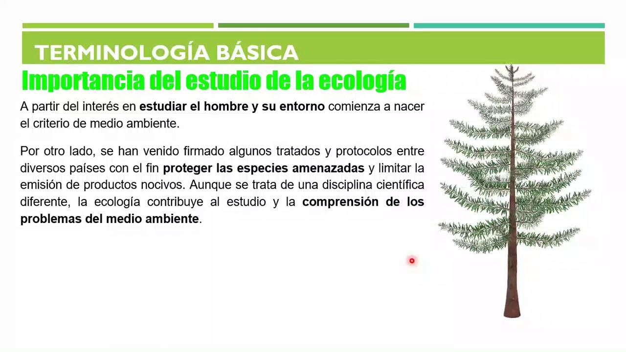 importancia del estudio de la ecología