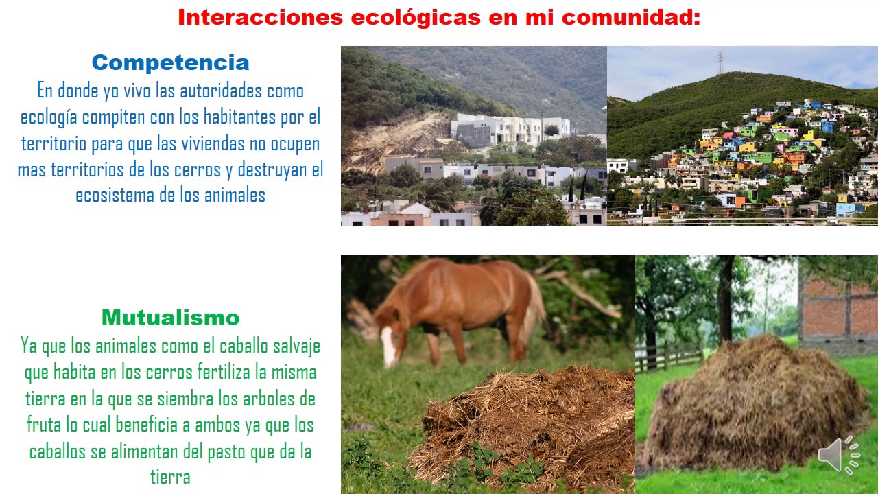 interacción ecológica en el estado de méxico
