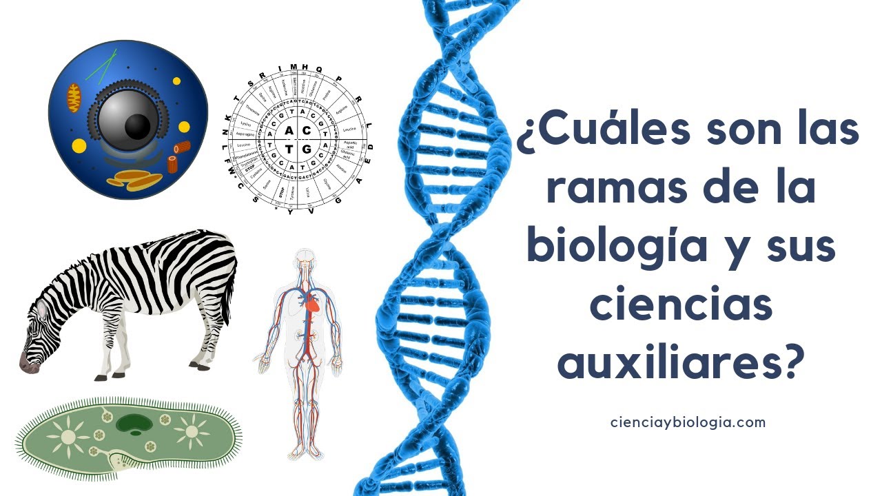 las ramas auxiliares de la biología