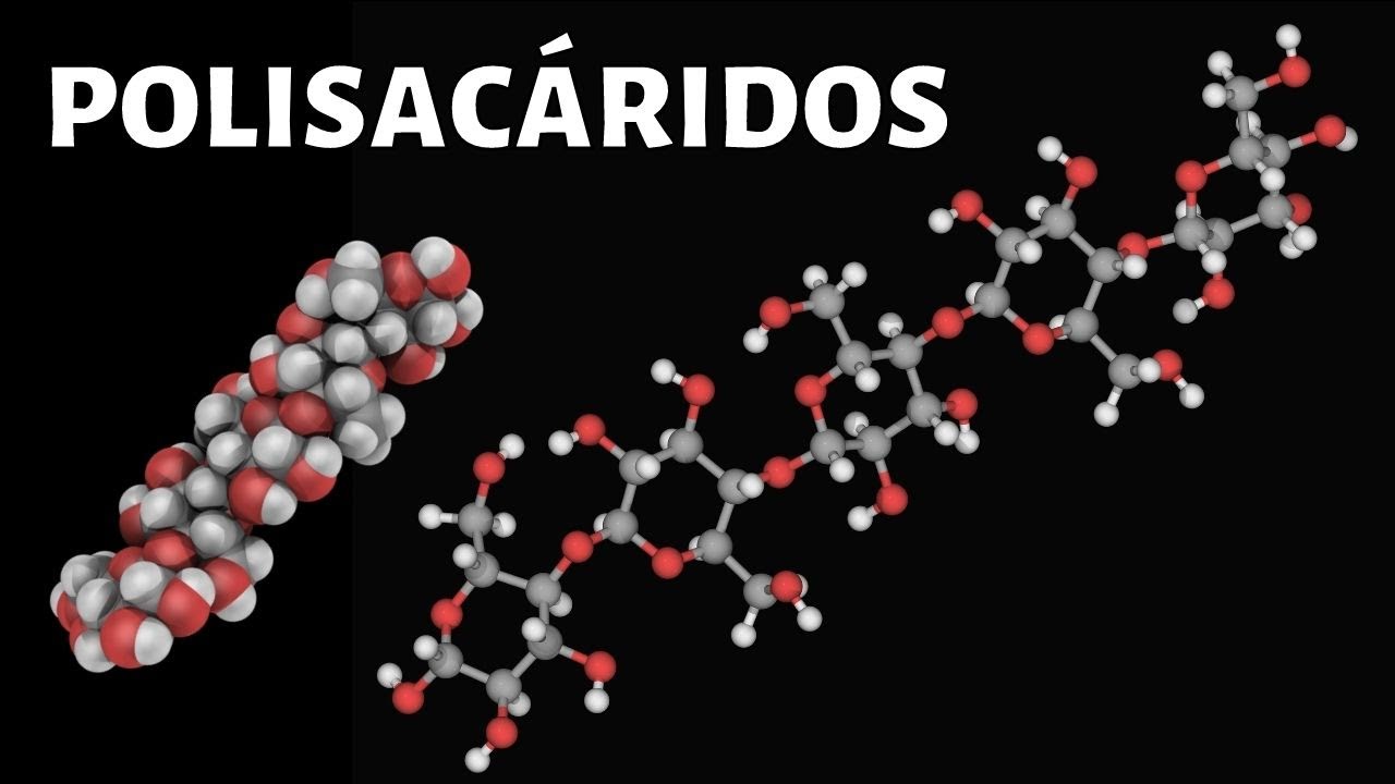 los polisacáridos de almacenamiento son