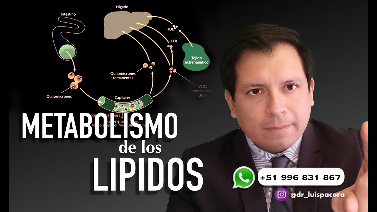 mineral que interviene en el metabolismo de los lípidos