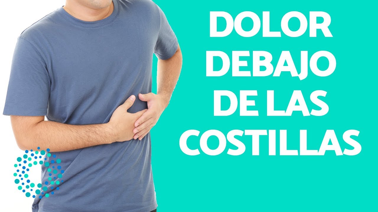musculos que se encuentran en el estomago pulmones y vejiga