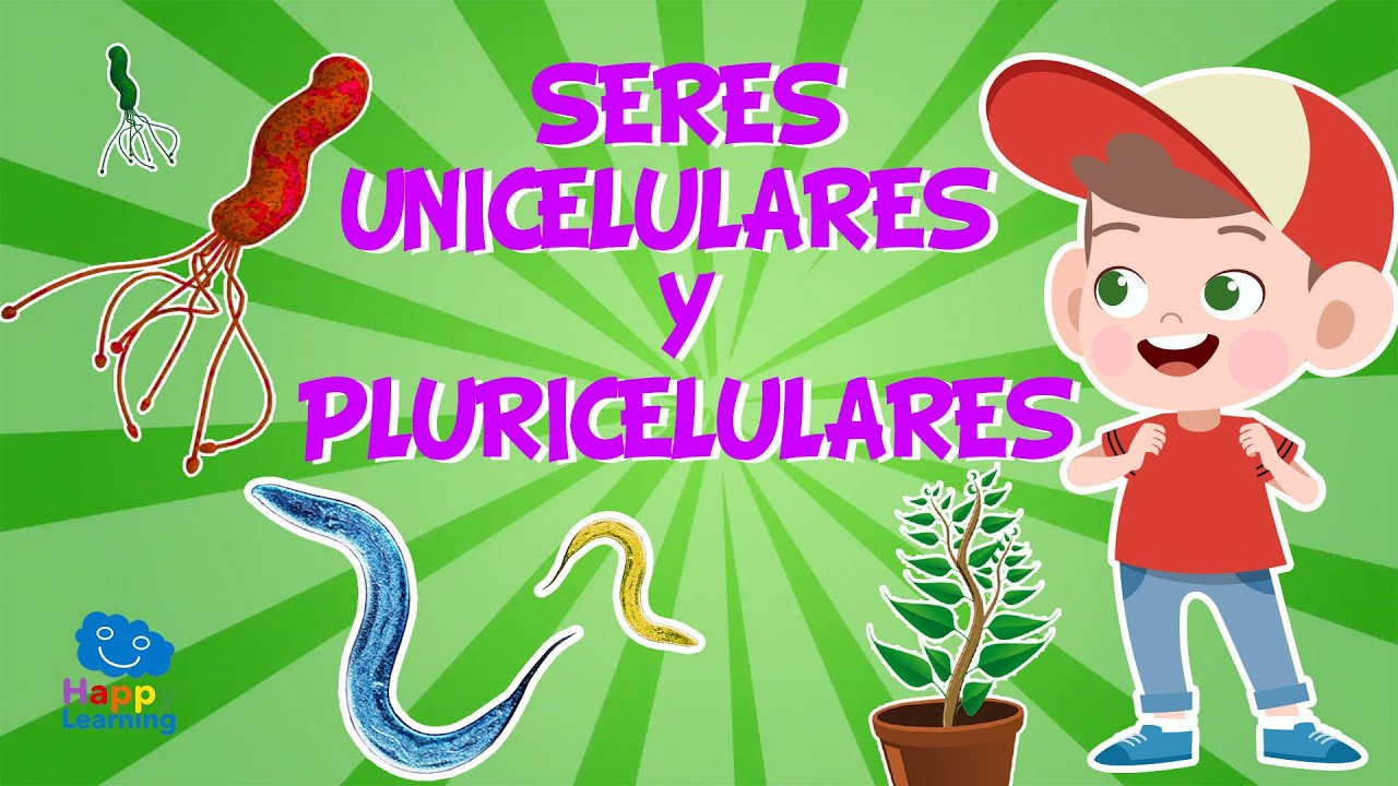 organismo unicelular en el cuerpo humano