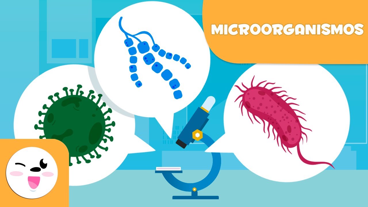 por el tipo de energía que utiliza las bacterias son