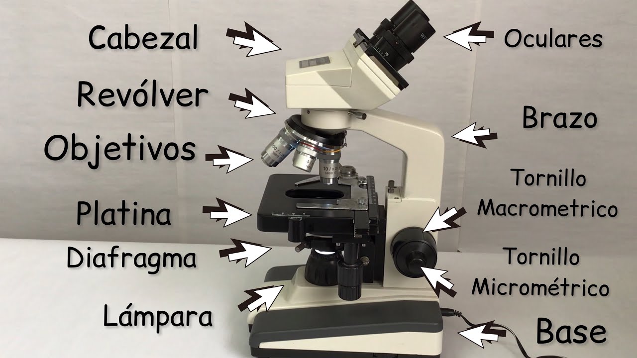 porque se le llama microscopio fotonico al microscopio compuesto