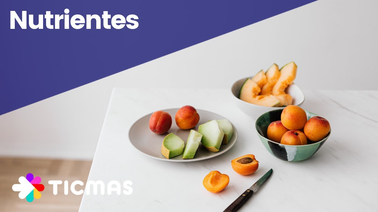 qué función cumplen en nuestro organismo