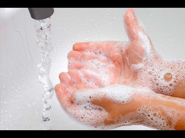 qué sustancias ayudan a prevenir enfermedades infecciosas
