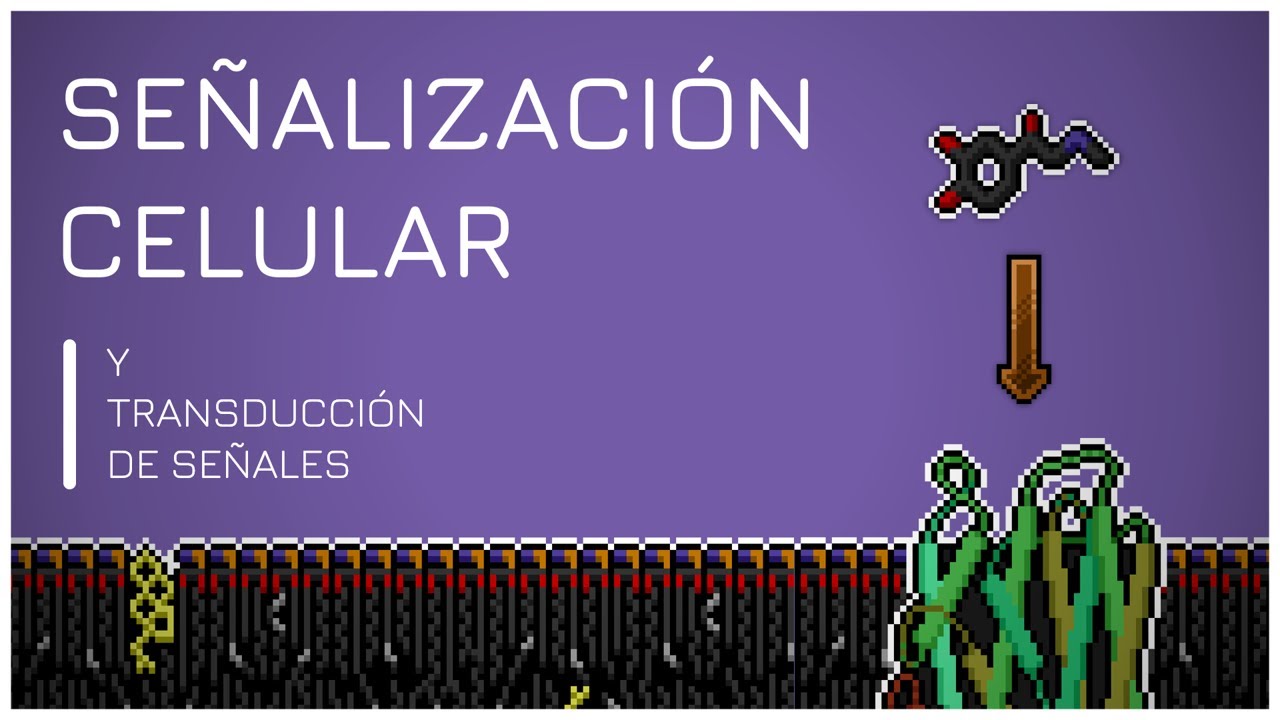 recepcion de señales en fisiologia vegetal