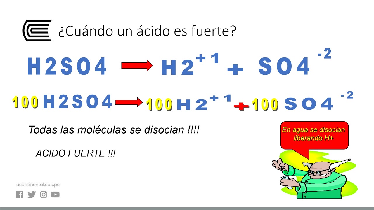 sistemas buffer en el cuerpo humano