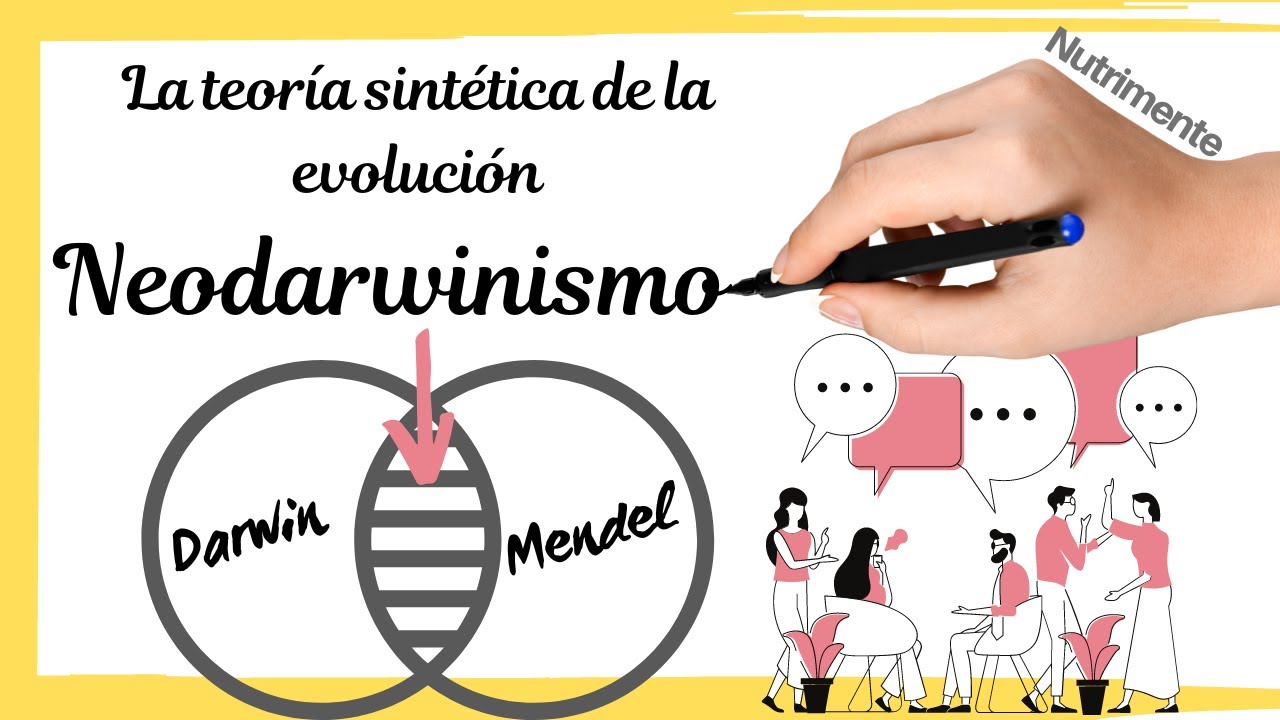 teoria sintetica de la evolucion humana
