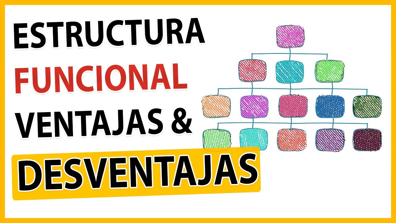 tipo de estructura organizacional funcional