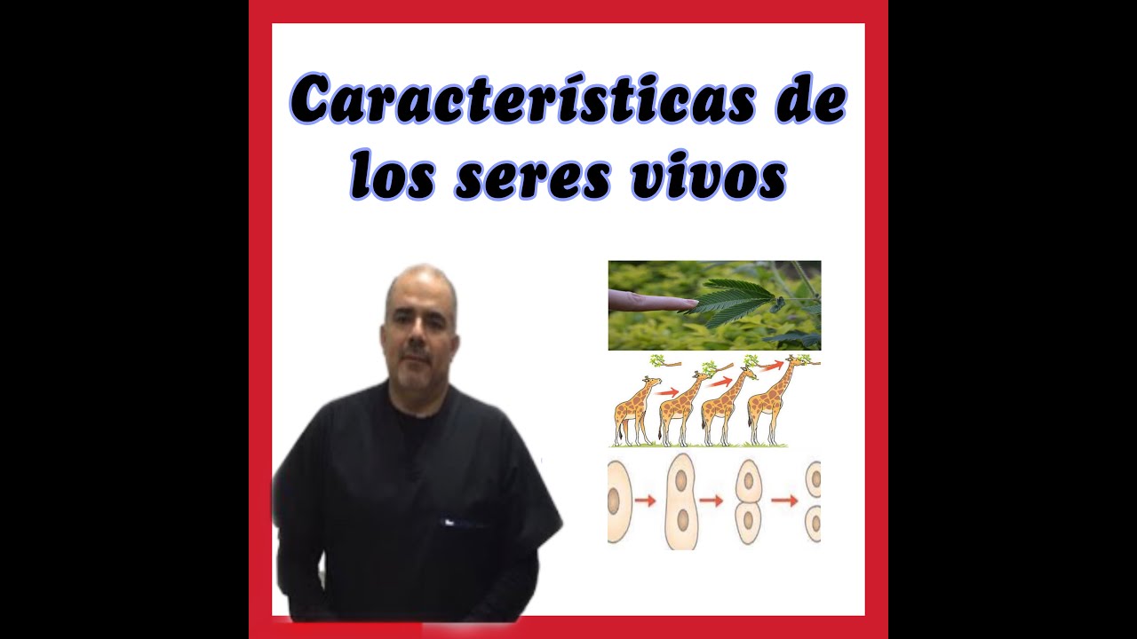 todos los organismos poseen las características anteriores
