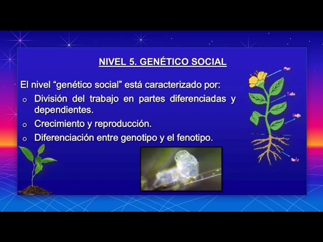 unidad 3 taxonomia de los sistemas