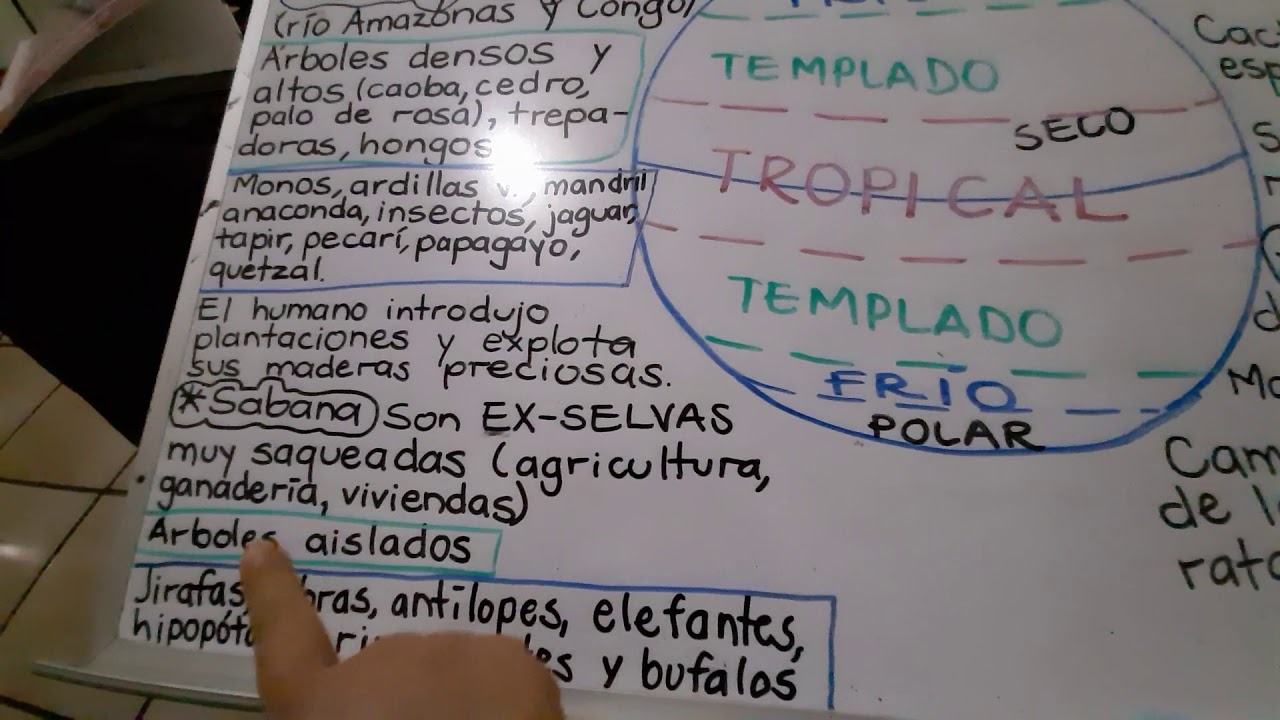 vegetación de las regiones de clima tropical con lluvias escasas