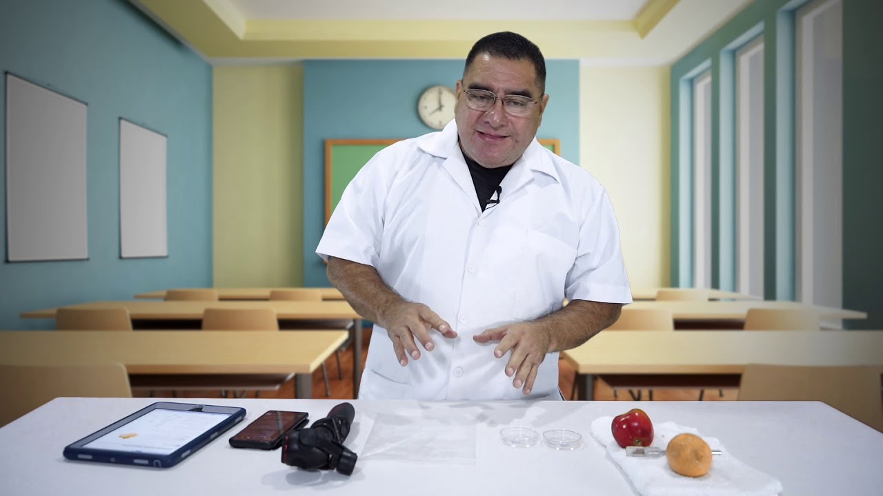 aplicación del método científico experimental