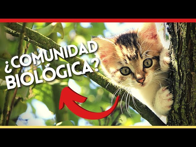 balance de fuerzas en una comunidad biológica