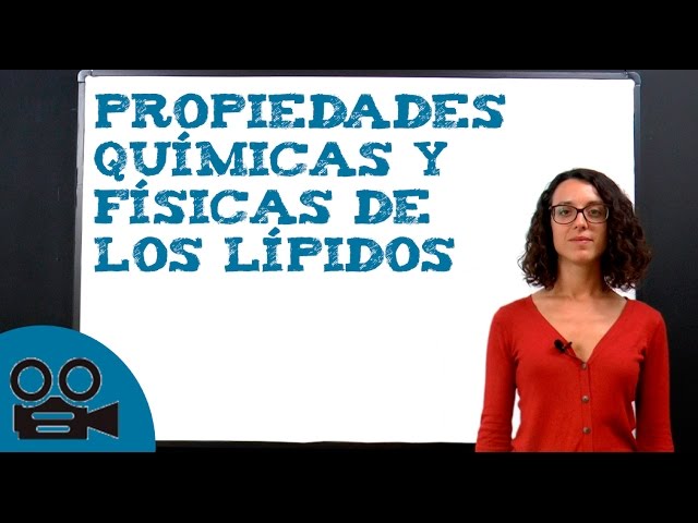 caracteristicas quimicas de los lipidos