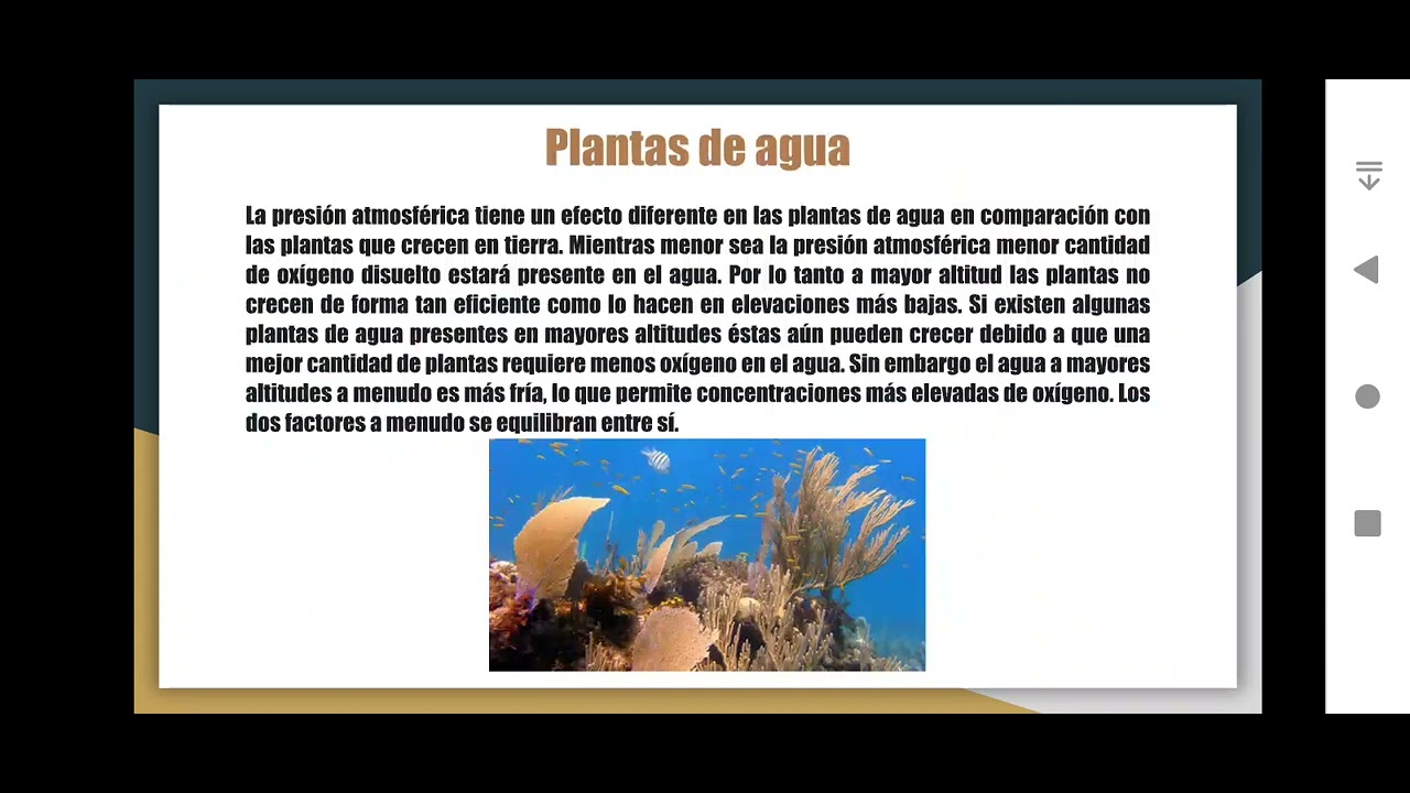 como afecta la presion atmosferica a los seres vivos