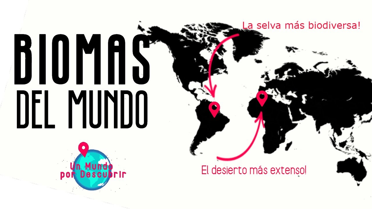 como estan constituidos los biomas