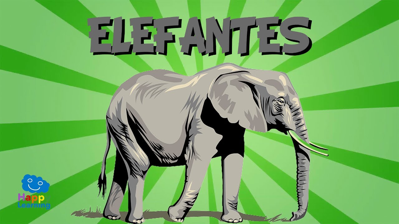 como son fisicamente los elefantes