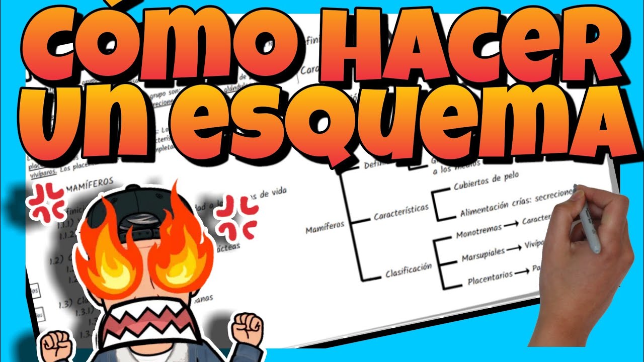 completa la información del esquema