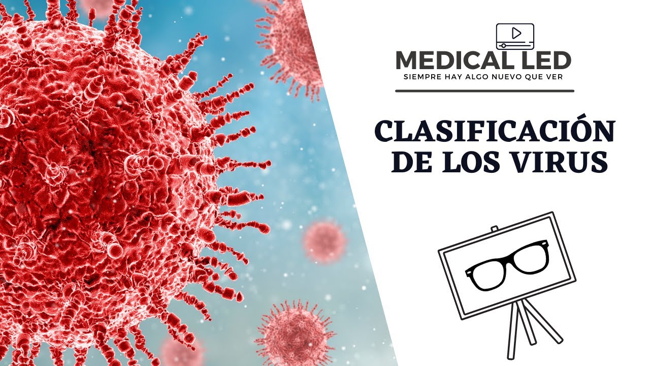 criterios para clasificar a los virus