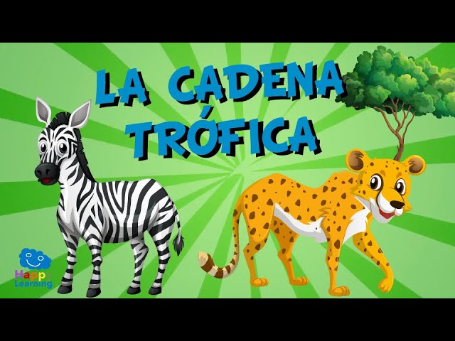 cuál es el inicio de la cadena trófica