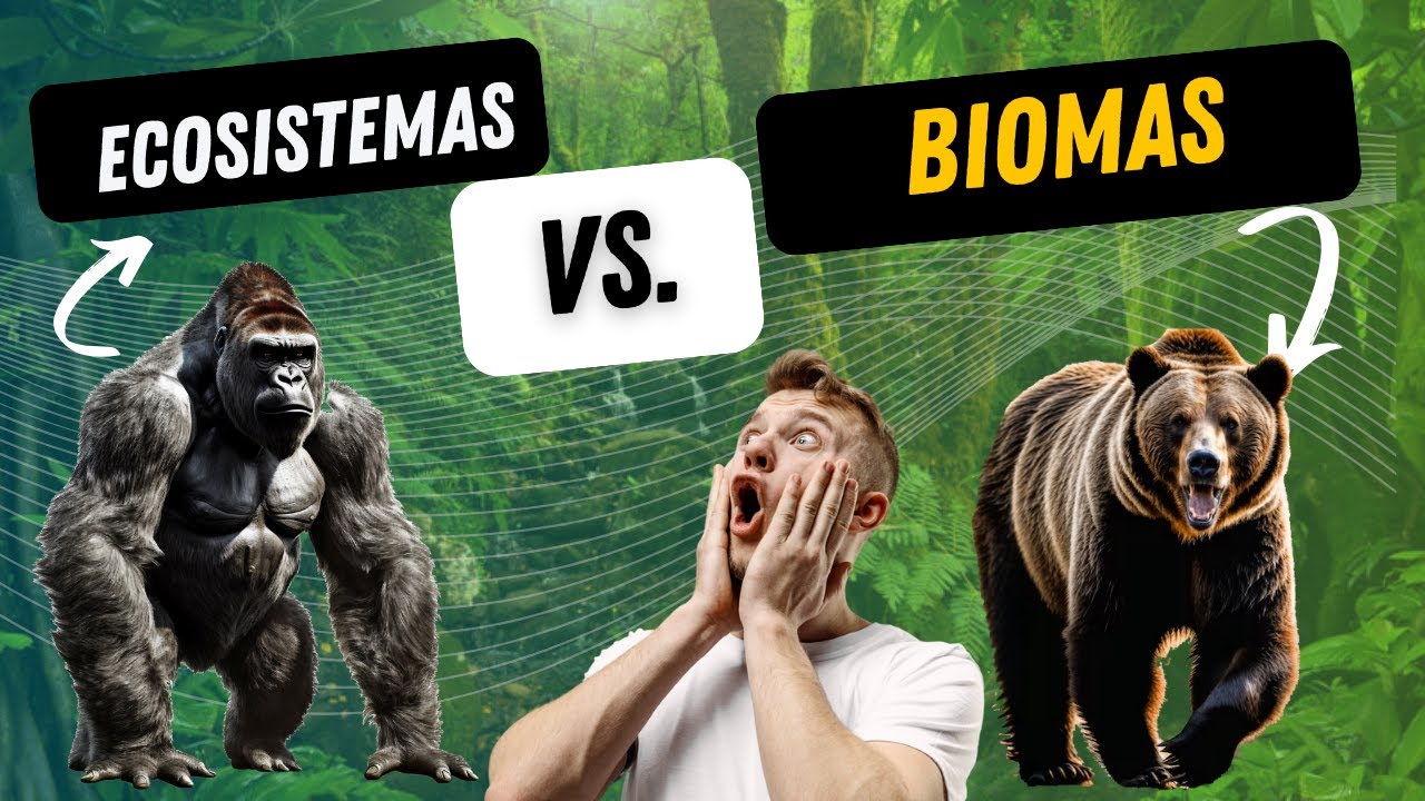 cual es la diferencia entre un bioma y un ecosistema