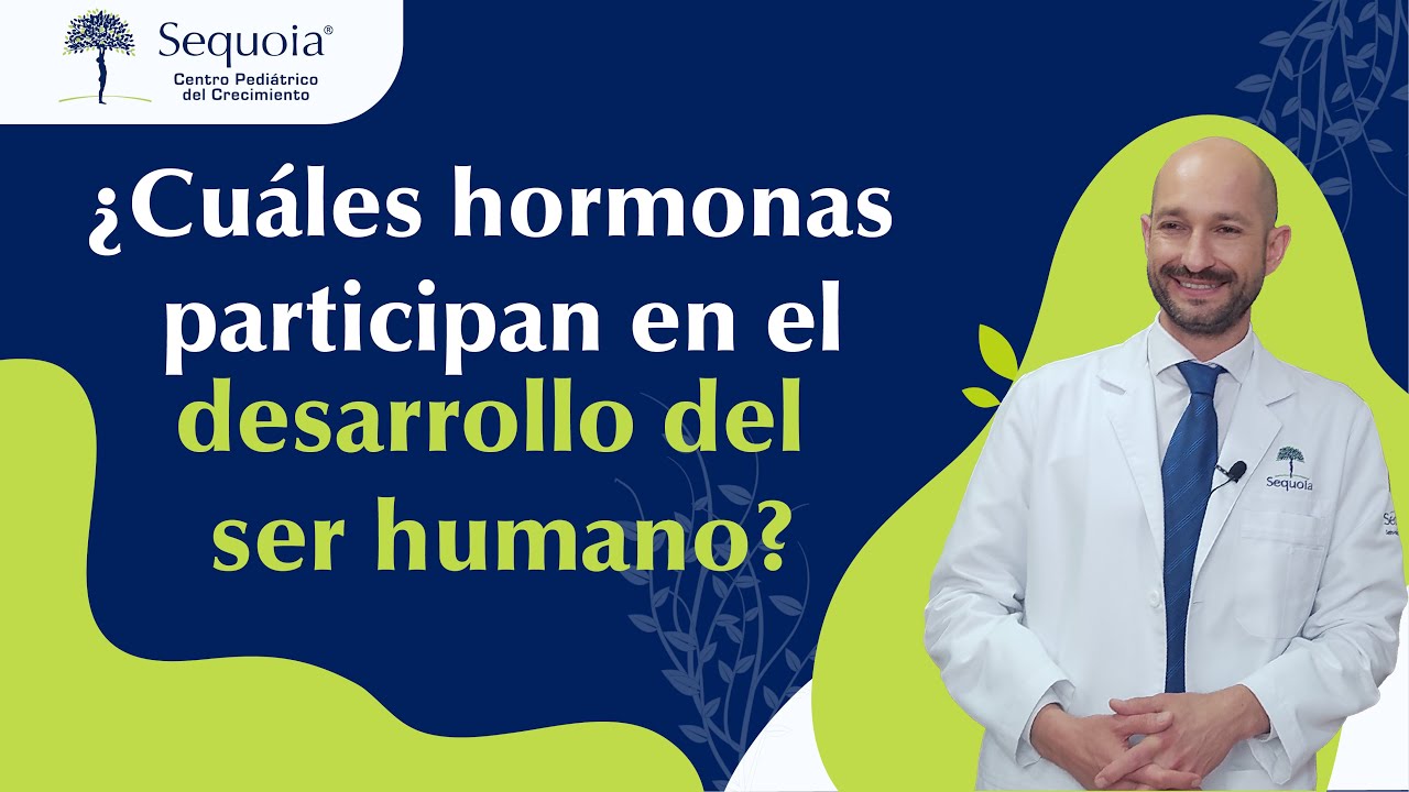 cuáles hormonas participan en el desarrollo del ser humano