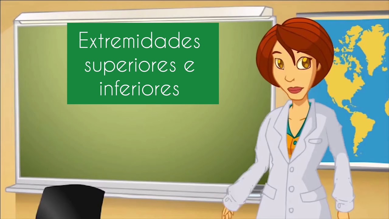 cuales son las extremidades superiores