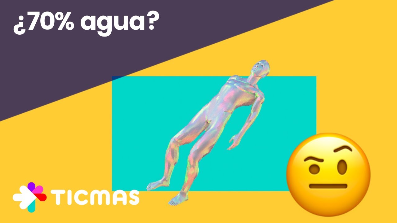 de que estan compuestos los seres vivos