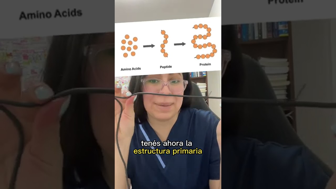 es la biomolécula formada por una secuencia de aminoácidos