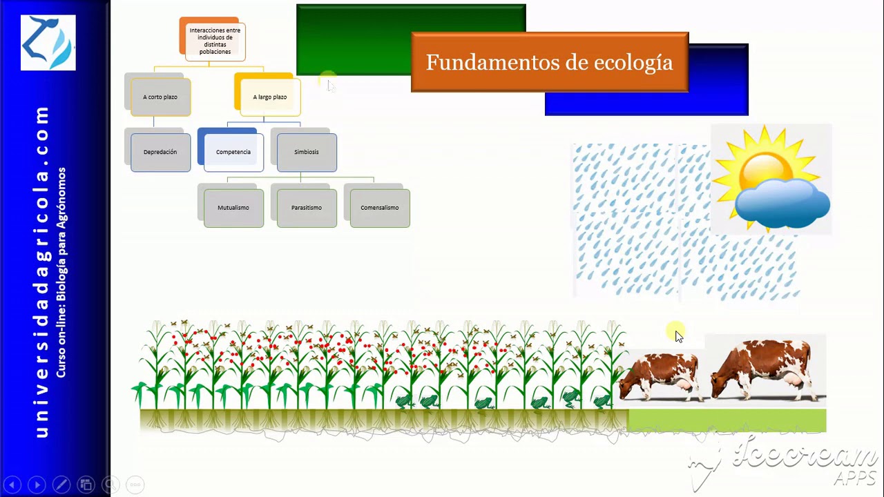fundamentos que antecedieron ala ecologia
