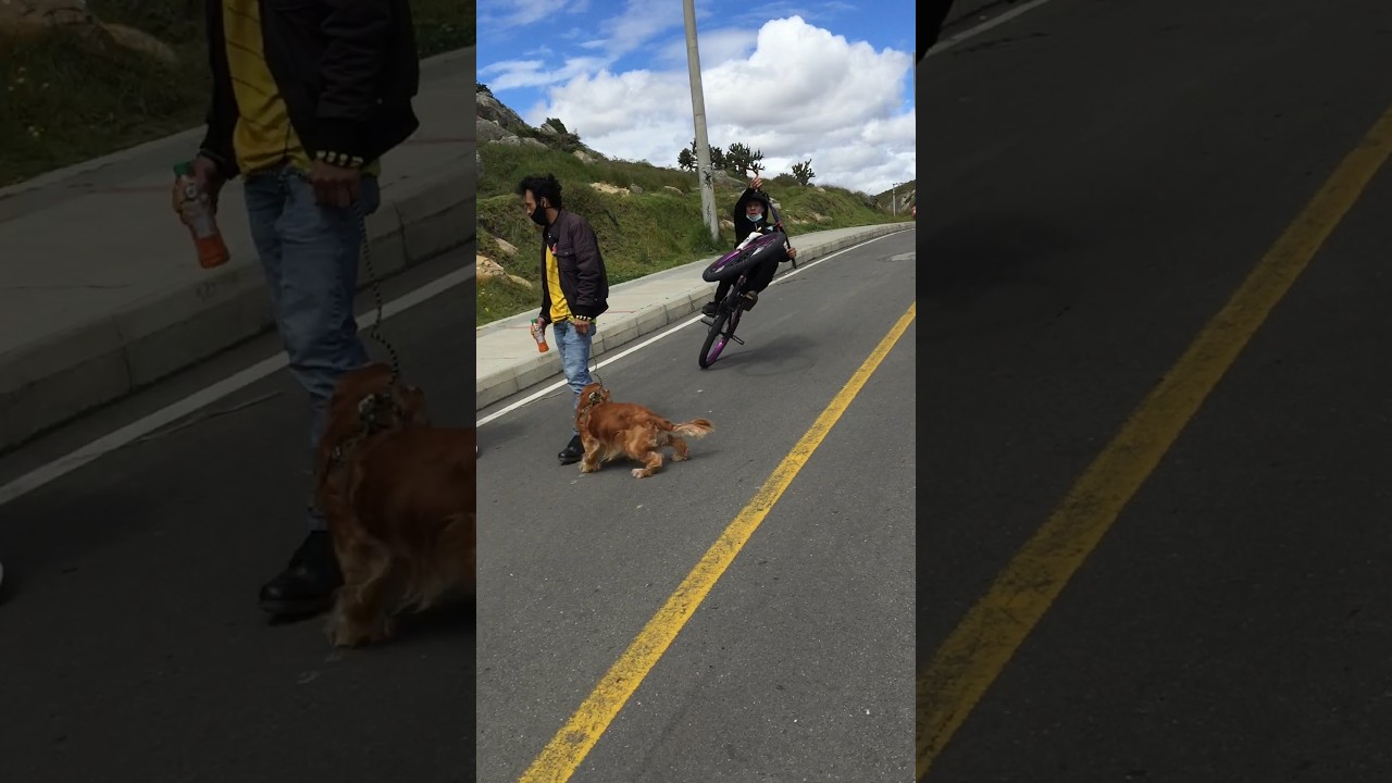 gracias a ella los hombres pudieron pasar de un continente a otro
