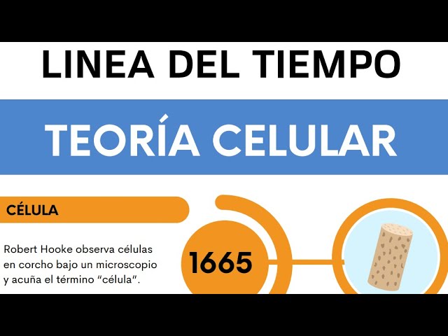 historia de la celula linea del tiempo