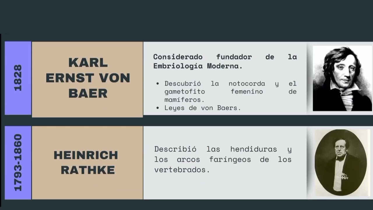 historia de la embriología linea del tiempo