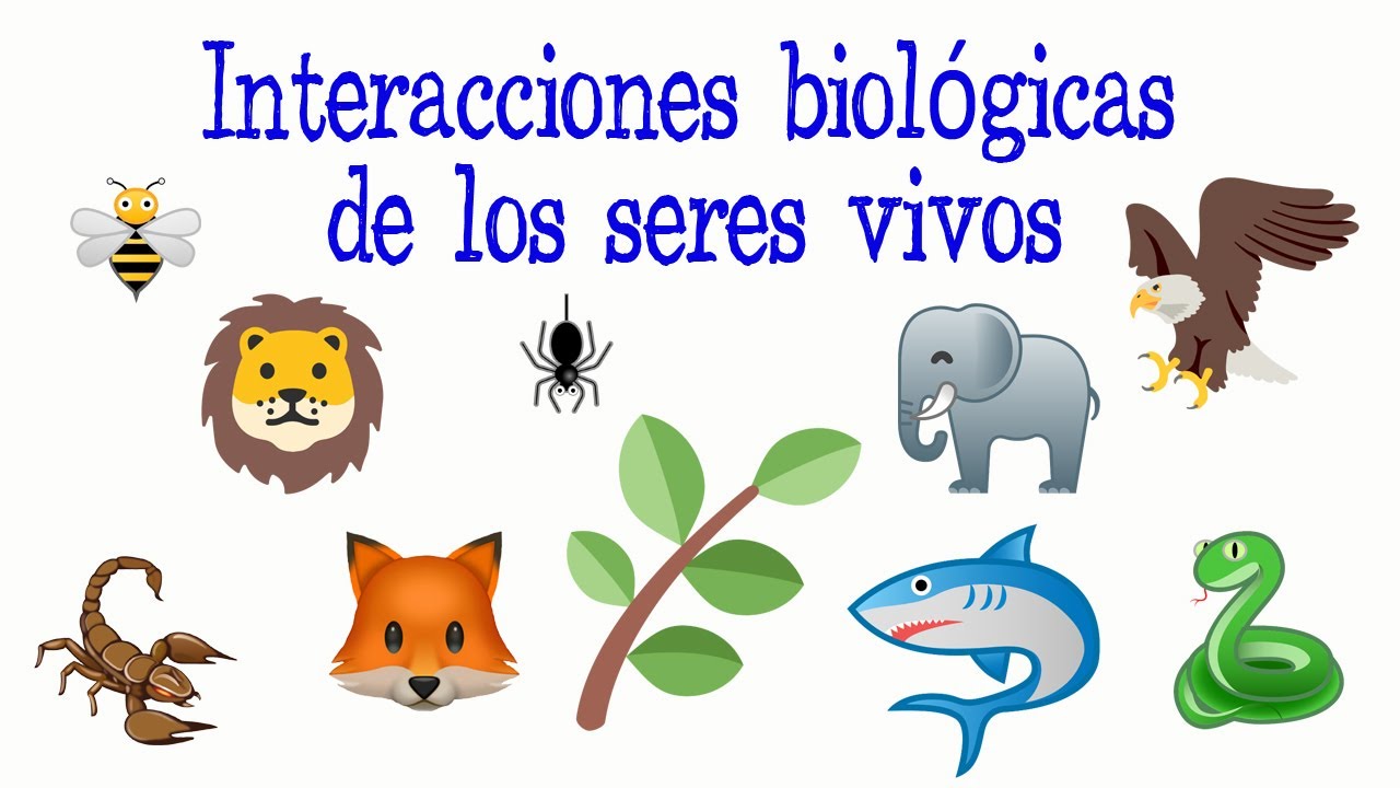 interacciones en los ecosistemas ejemplos