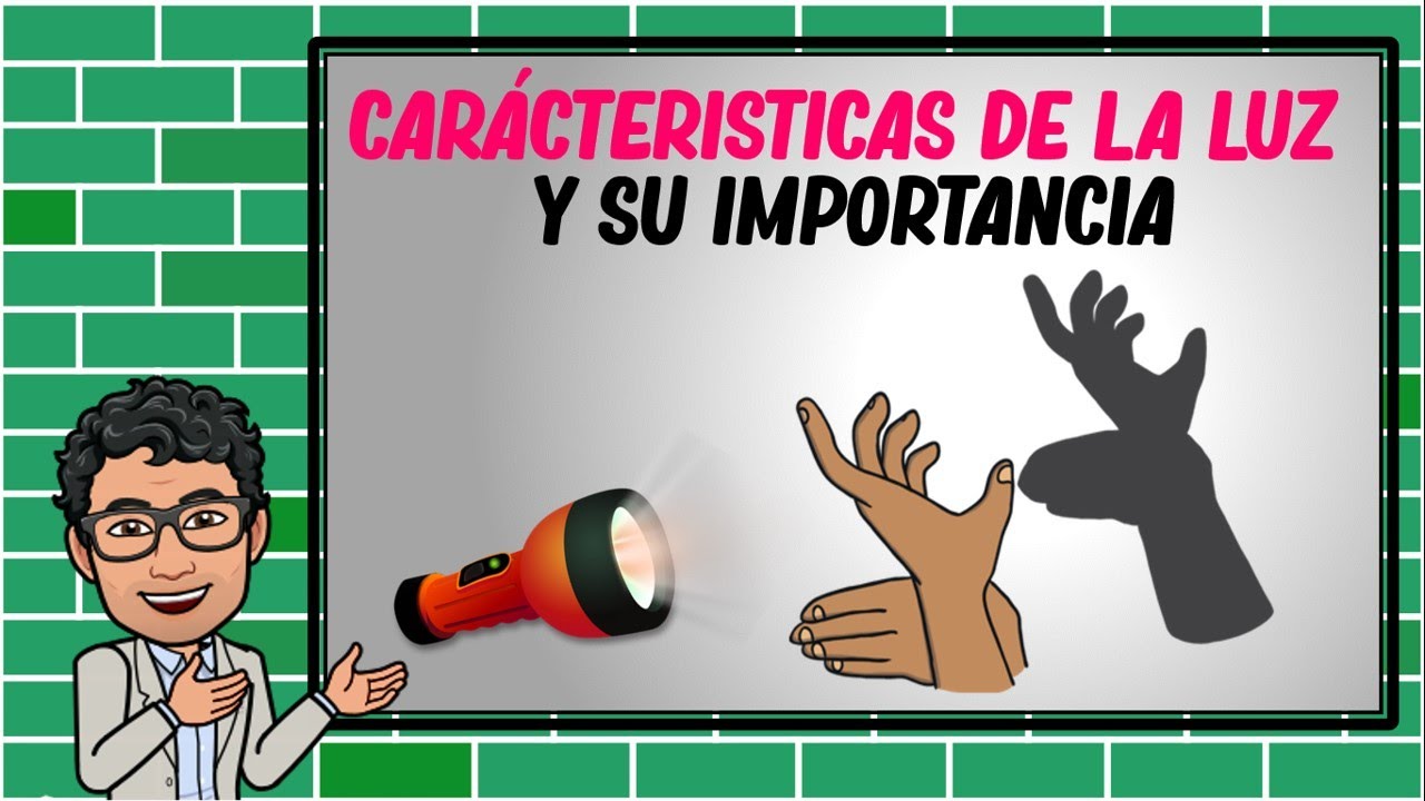 las caracteristicas de la luz y su importancia