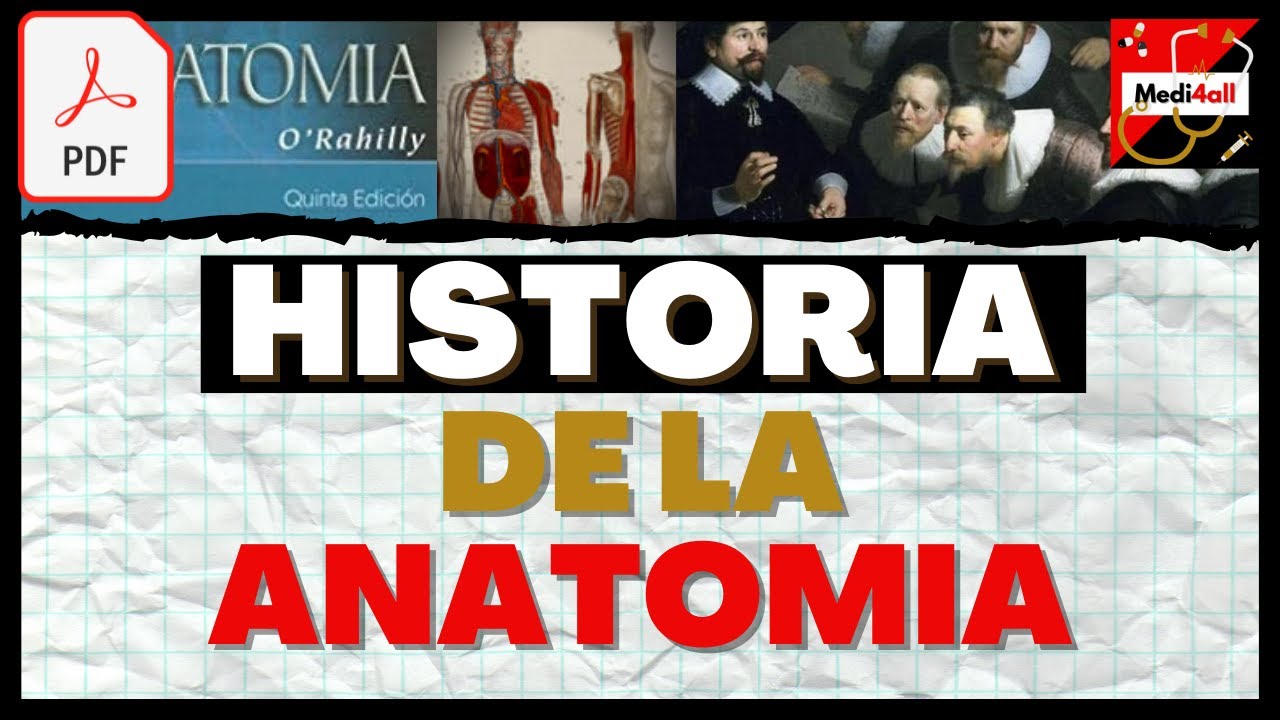 linea del tiempo de la anatomia humana