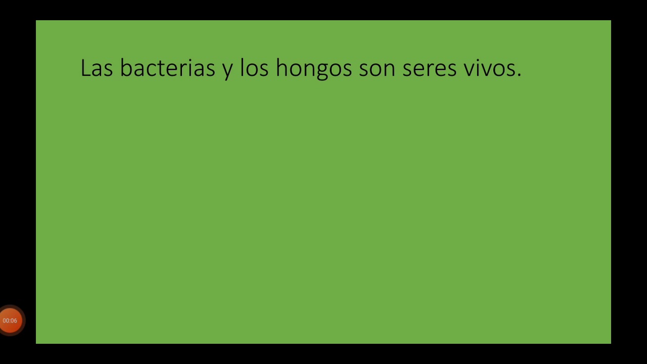 los hongos y las bacterias se nutren respiran y se