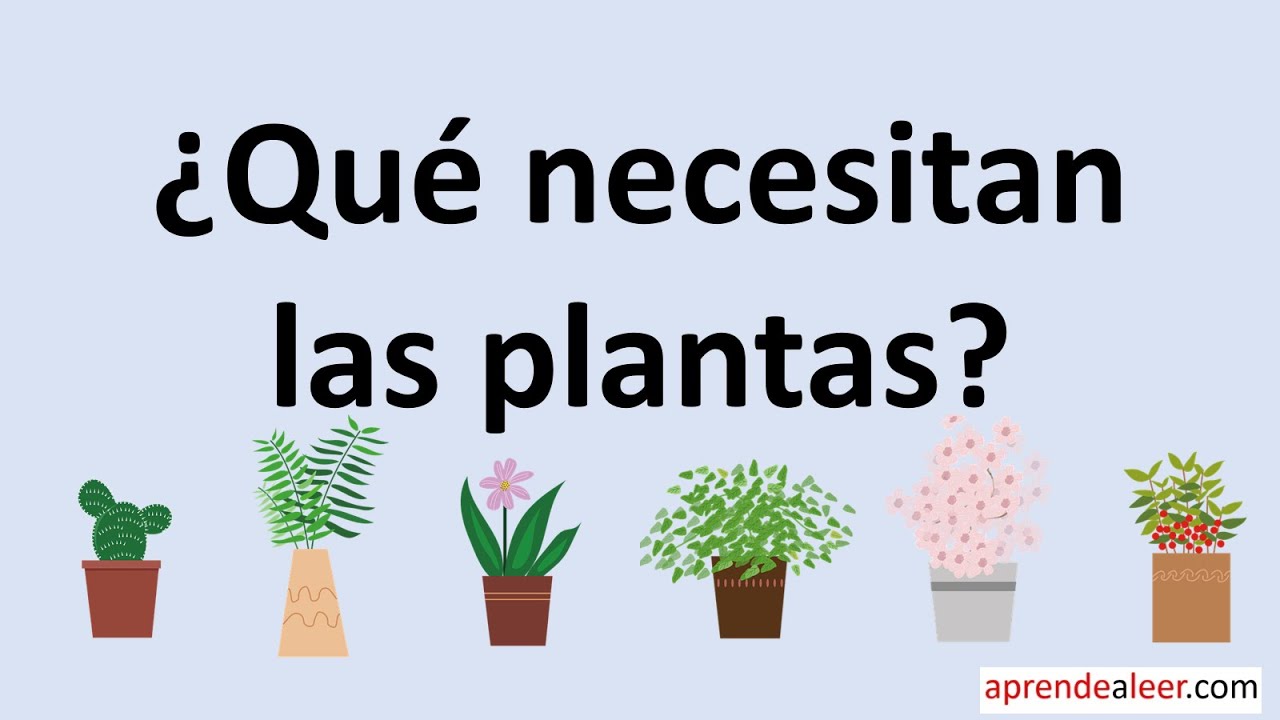 materiales que necesitan las plantas para seguir creciendo