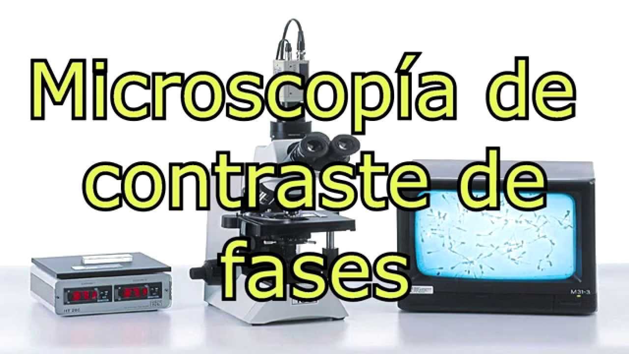 microscopio contraste de fases y sus partes