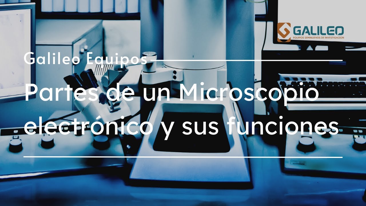 microscopio electronico con sus partes