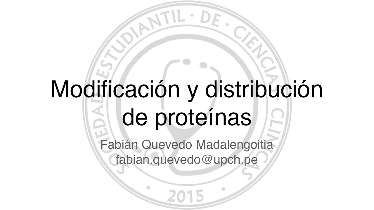 modifica y distribuye a las proteinas