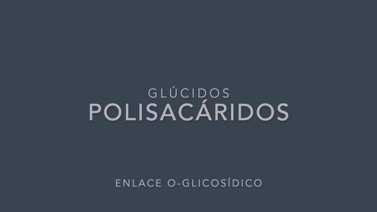 monosacaridos oligosacaridos y polisacaridos