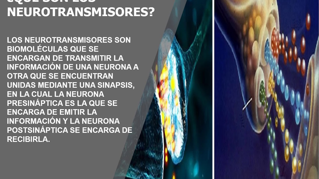 neurotransmisor de molécula pequeña que no es derivado de un aminoácido