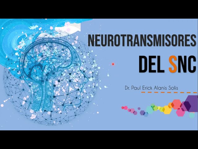 neurotransmisores del sistema nervioso central