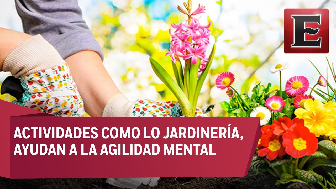 para qué nos sirve la ciencia en nuestra vida diaria